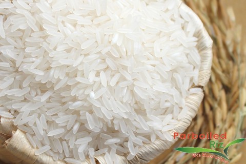 White Rice 10% Broken